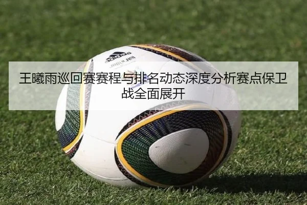 wang-xi-yu-xun-hui-sai-sai-cheng-yu-pai-ming-dong-tai-shen-du-fen-xi-sai-dian-bao-wei-zhan-quan-mian-zhan-kai-2-937.jpg